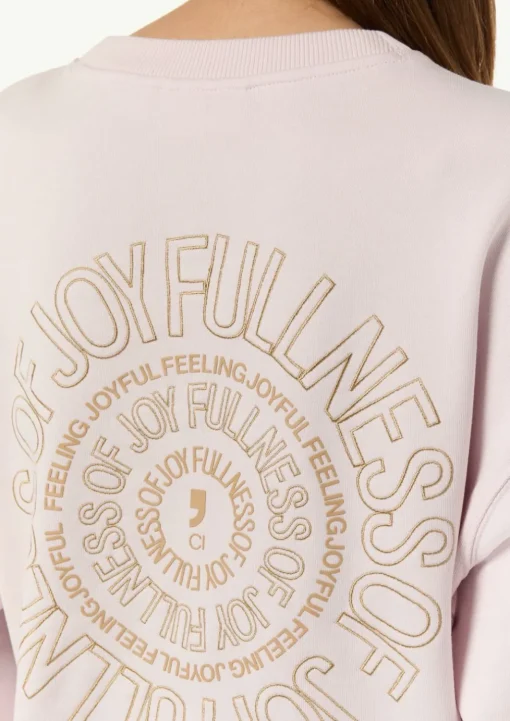Sweatshirt mit Rückenstickerei
